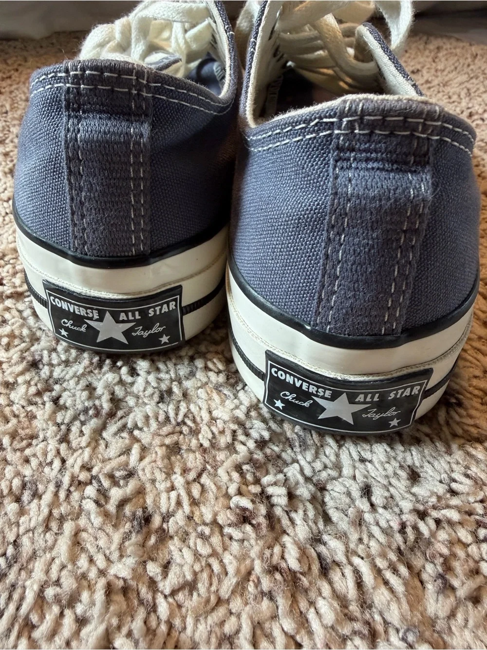 Converse Low-Top Canvas Sneakers in Navy and White